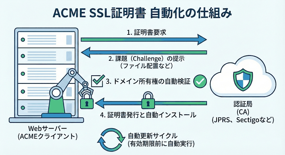 ACMEクライアントが認証局へ証明書を要求し、ドメイン所有権の自動検証、証明書の発行と自動インストール、自動更新サイクルを行う流れの図